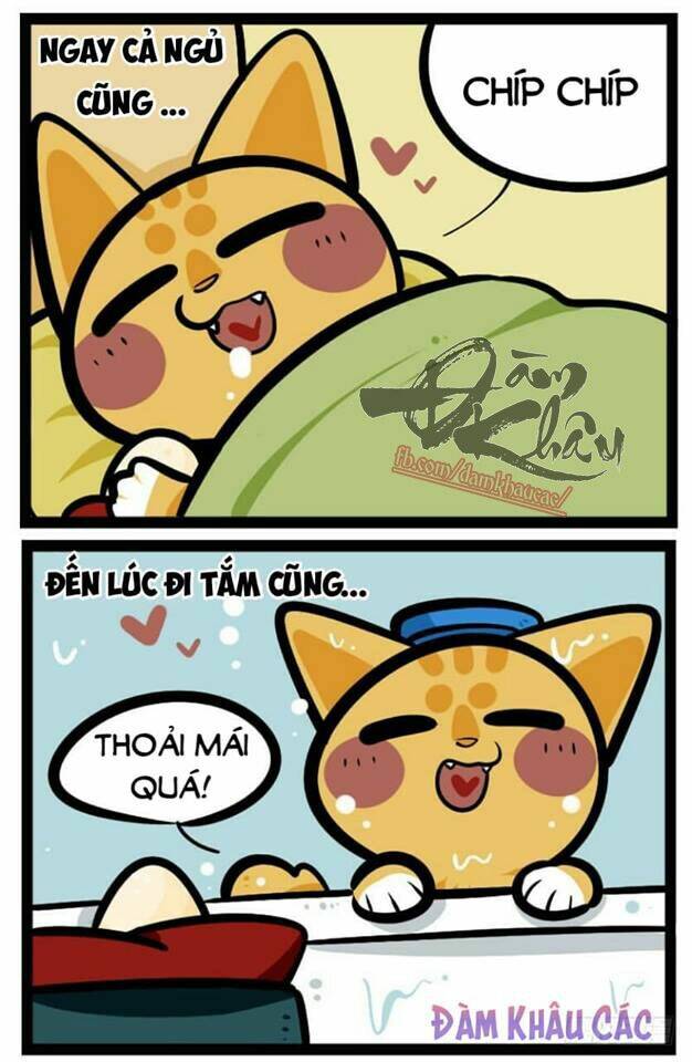 đời không như mình tưởng chapter 41 3