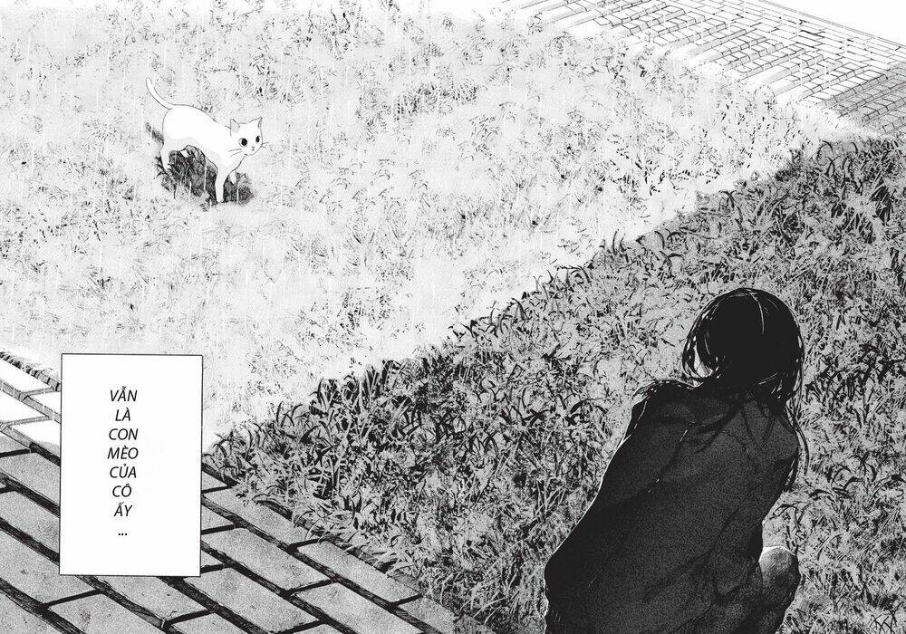 chú mèo và cô chủ chapter 4 16