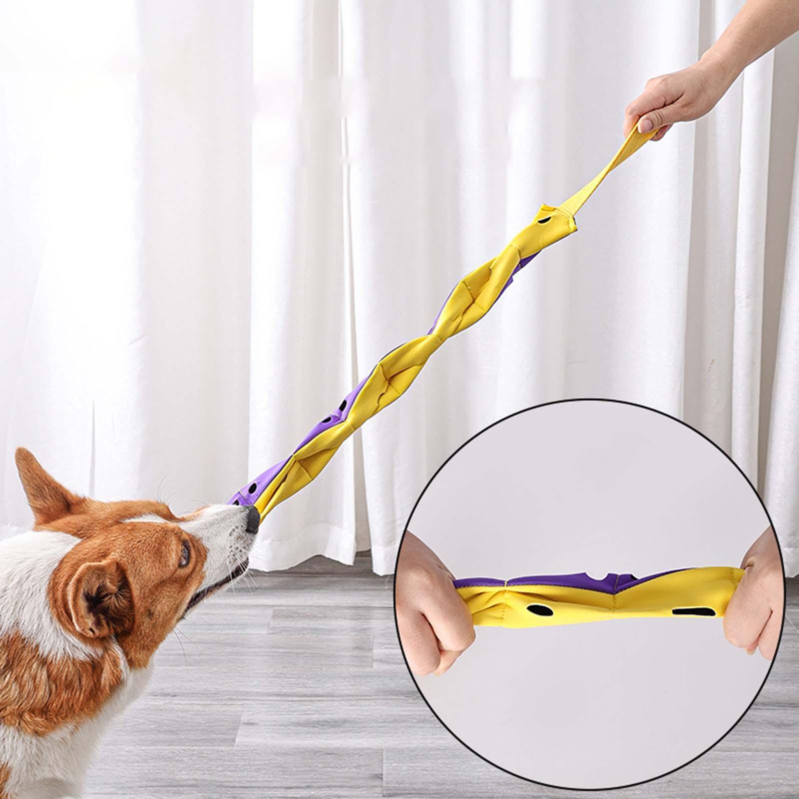 Dog Sniffing Toy Foraging Instinct Training Dog Feeding Toy Game