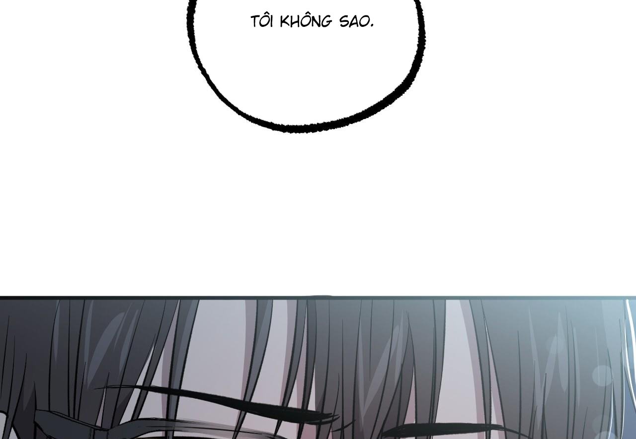 những chú thỏ của hapypy chapter 60 169