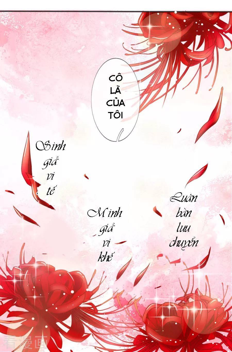 tuyệt sủng kiều thê của minh vương chapter 2 22