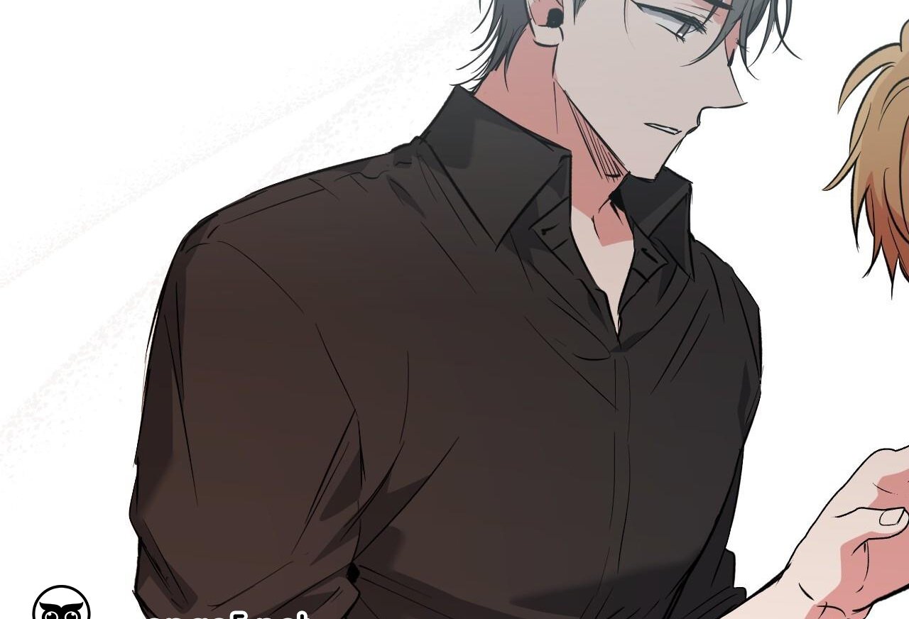 những chú thỏ của hapypy chapter 61 72