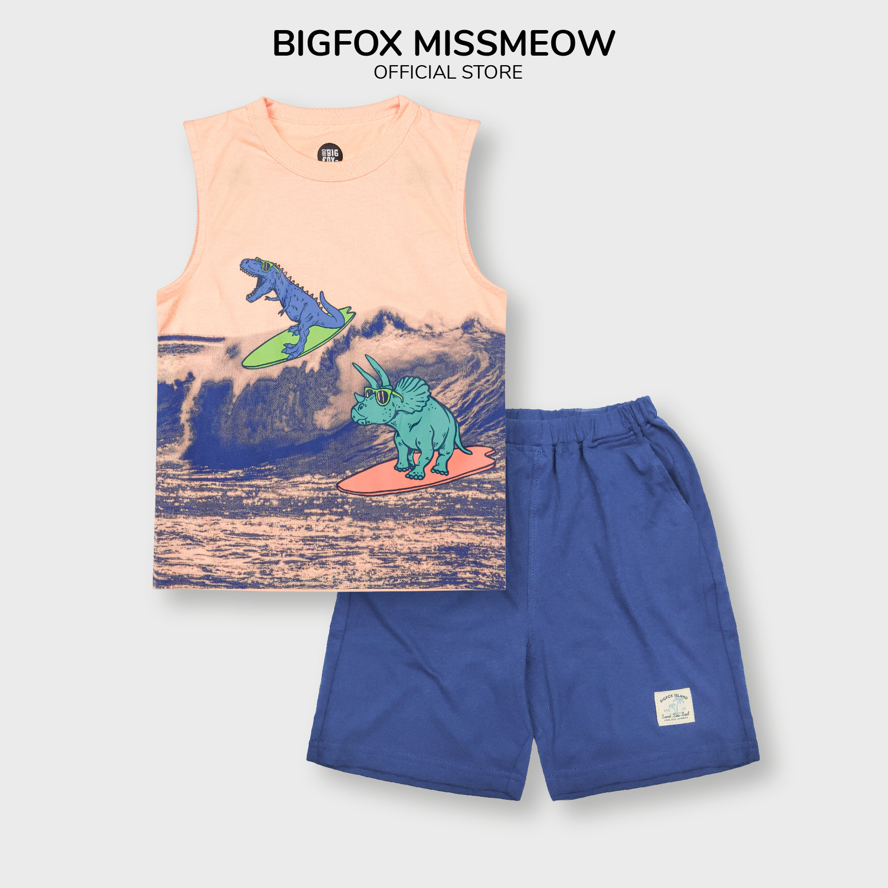 Bộ sát nách bé trai Bigfox Miss Meow mùa hè kiểu ba lỗ chất cotton in khủng long size đại 3,9,11 tuổi 25kg 40kg.1926