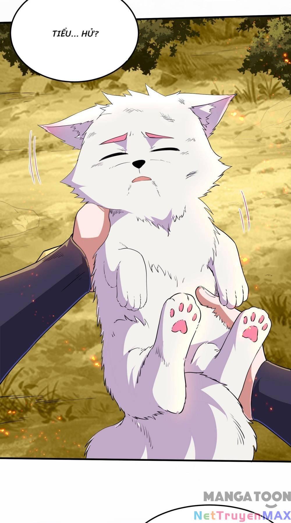 đệ nhất người ở rể chapter 251 17