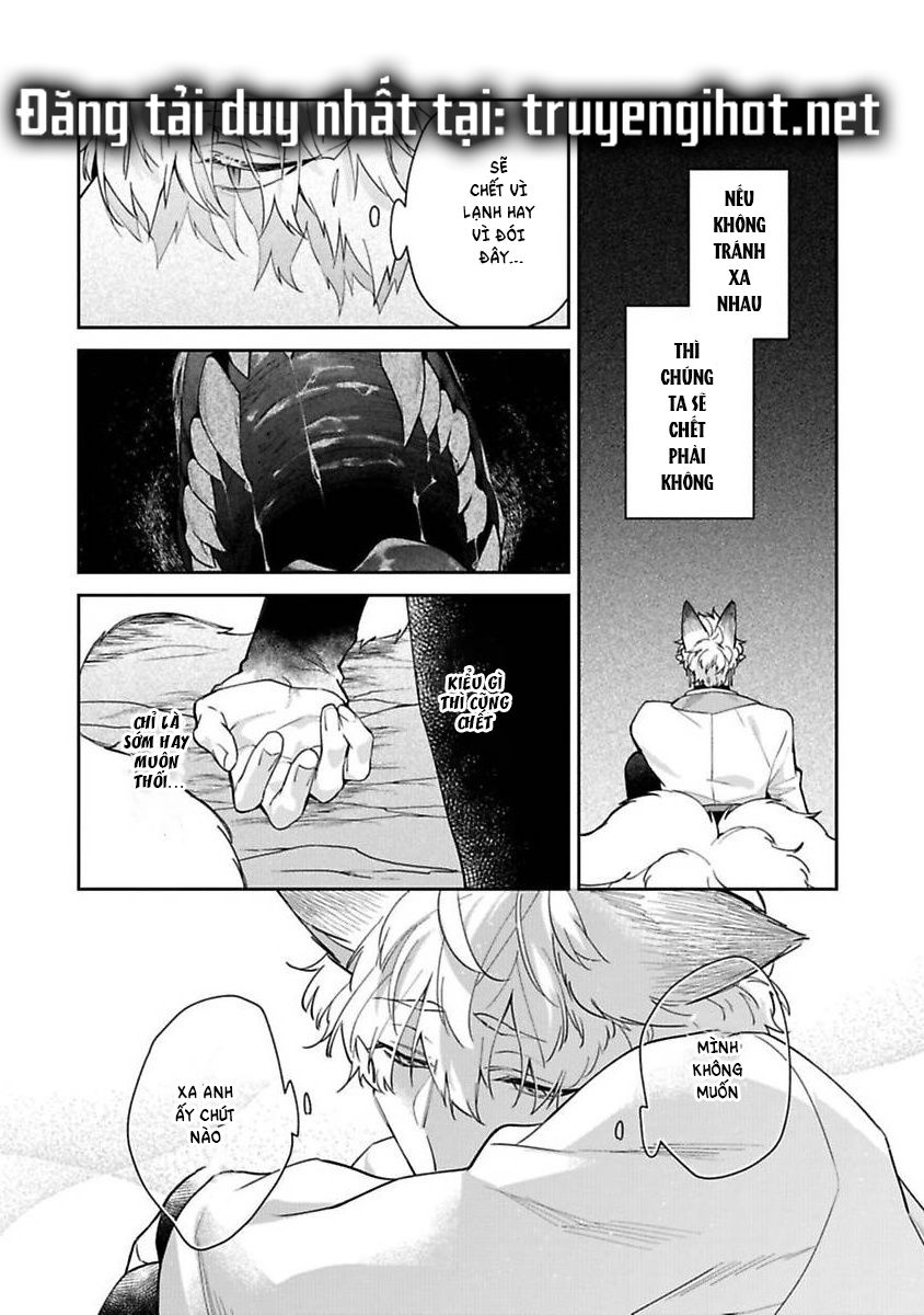 cô dâu thú nhân chapter 6 12