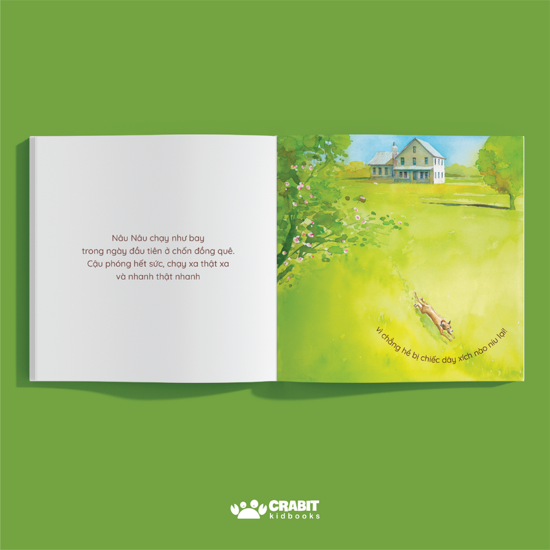 Nâu Nâu Thị Thành Xanh Xanh Đồng Quê