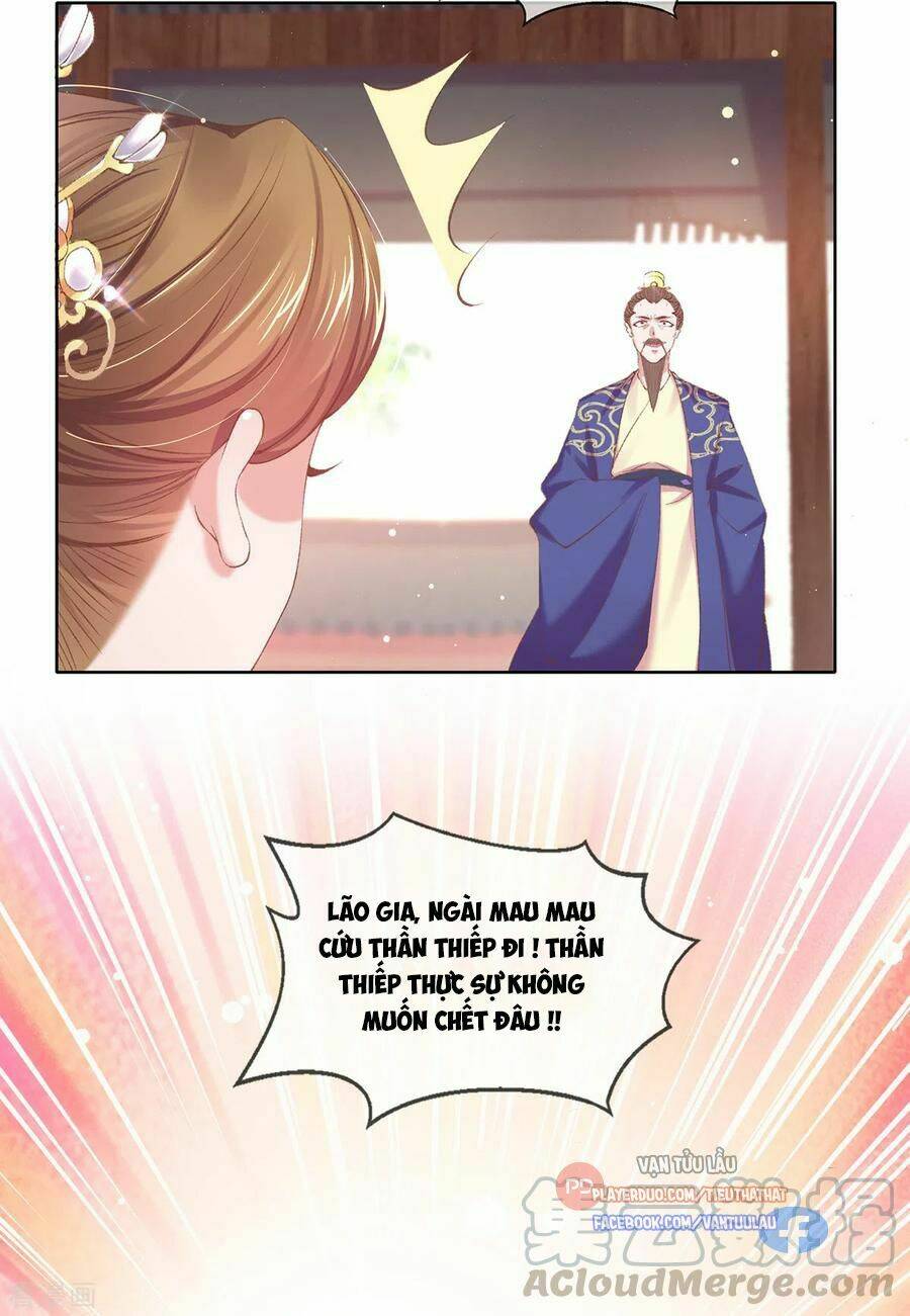 thị huyết y phi chapter 120 13