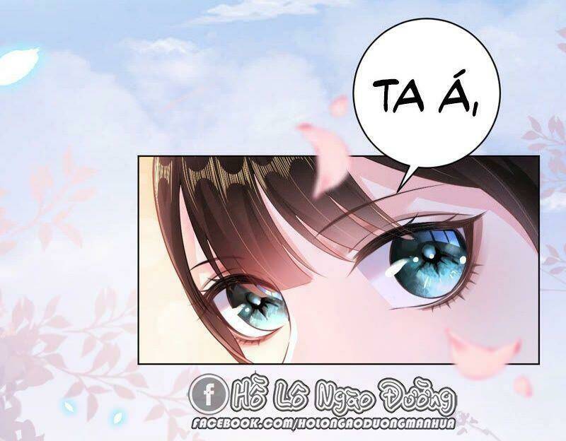 quận chúa vững vàng, thiết lập nhân vật không thể vỡ chapter 39 6