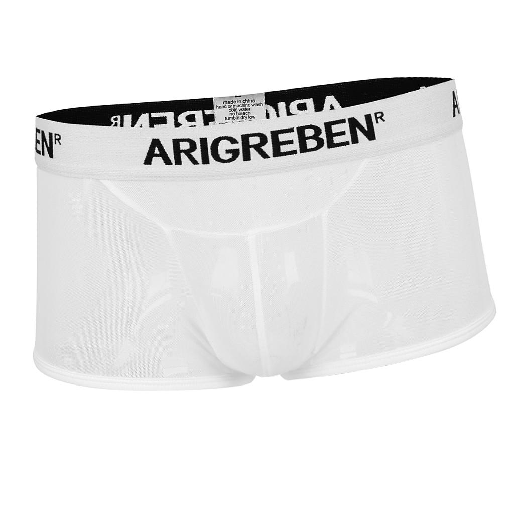 Men  Mesh Underwear Thong Bikini Briefs Knickers Soft Sleepwear Swimsuit - White, L
