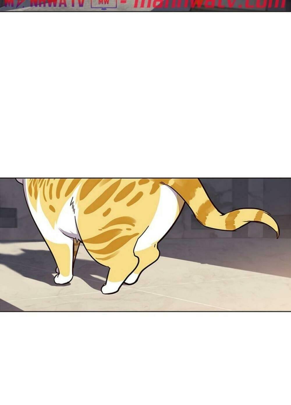 biến thân thành mèo chapter 19 80