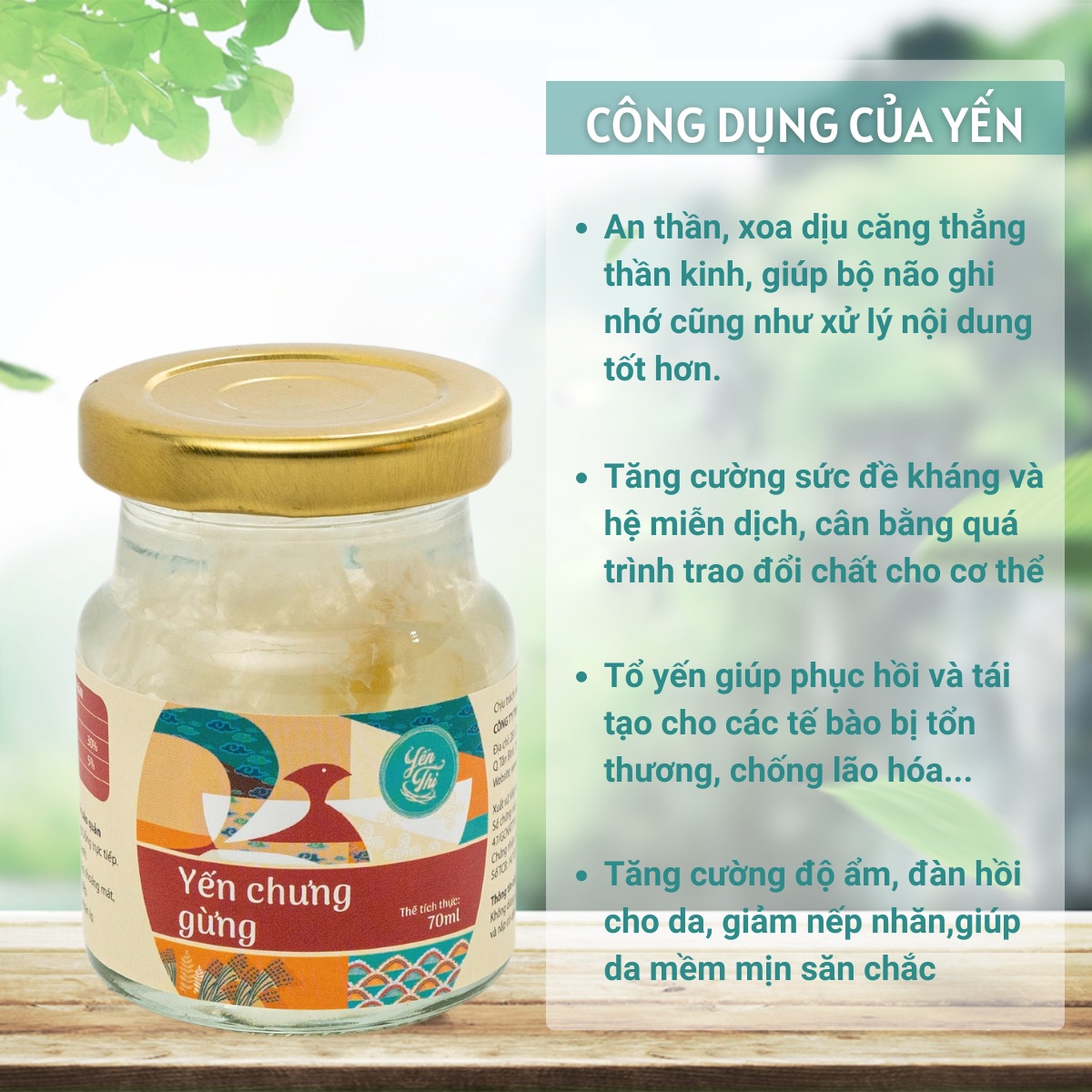 Yến Thị- Chưng Vị Gừng-30% Yến- Quà Tặng