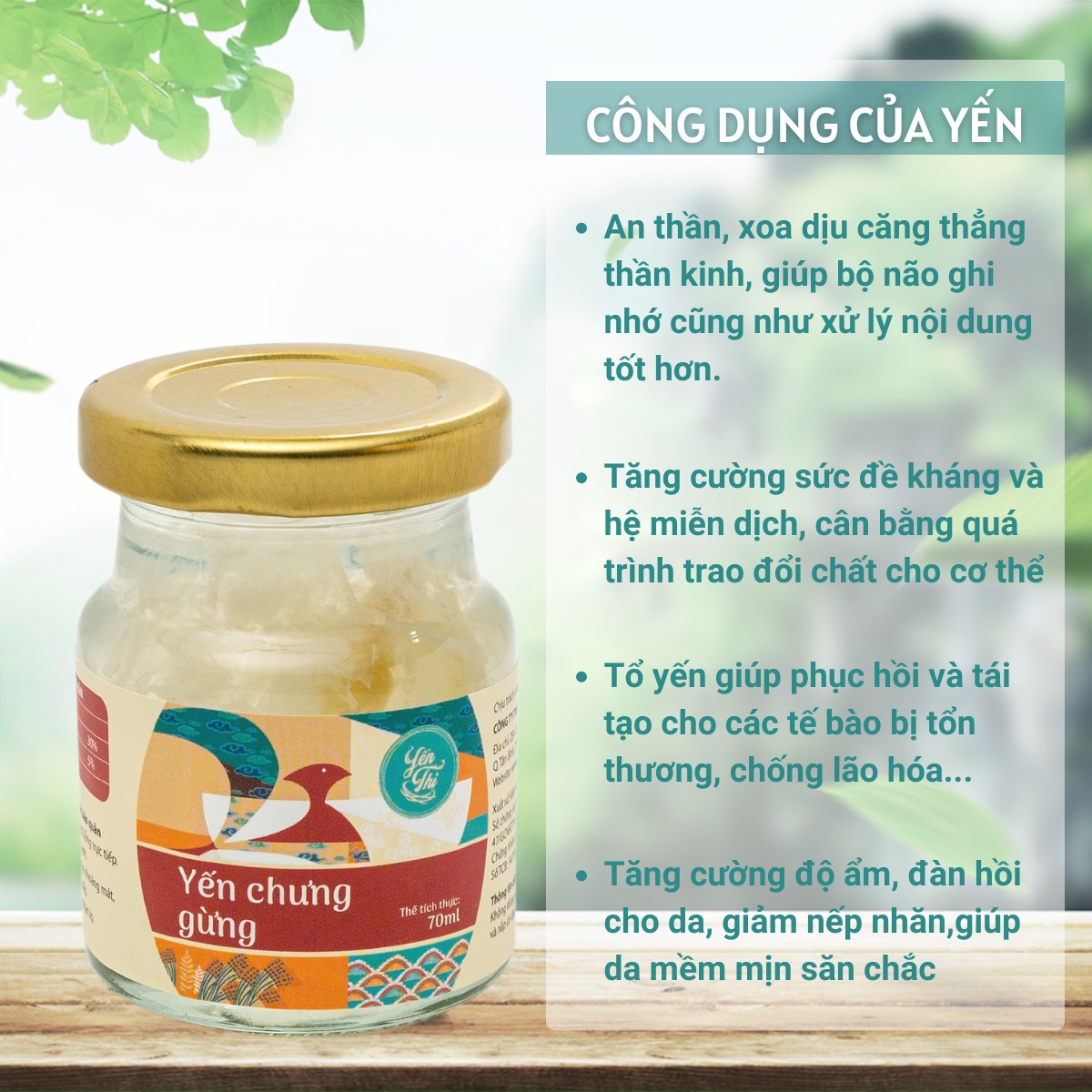 Hình ảnh Yến Thị- Chưng Vị Gừng-30% Yến- Quà Tặng