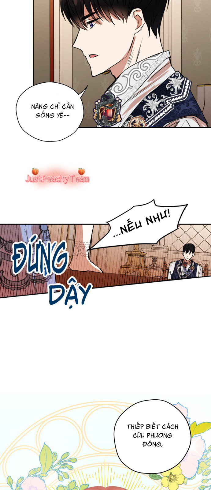 nâng cấp chồng lên level max chapter 7 37