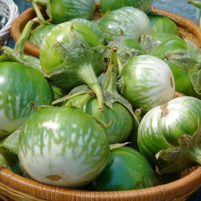 Hạt Giống Cà Dĩa Cao Sản CT265 - Gói 0.5gram