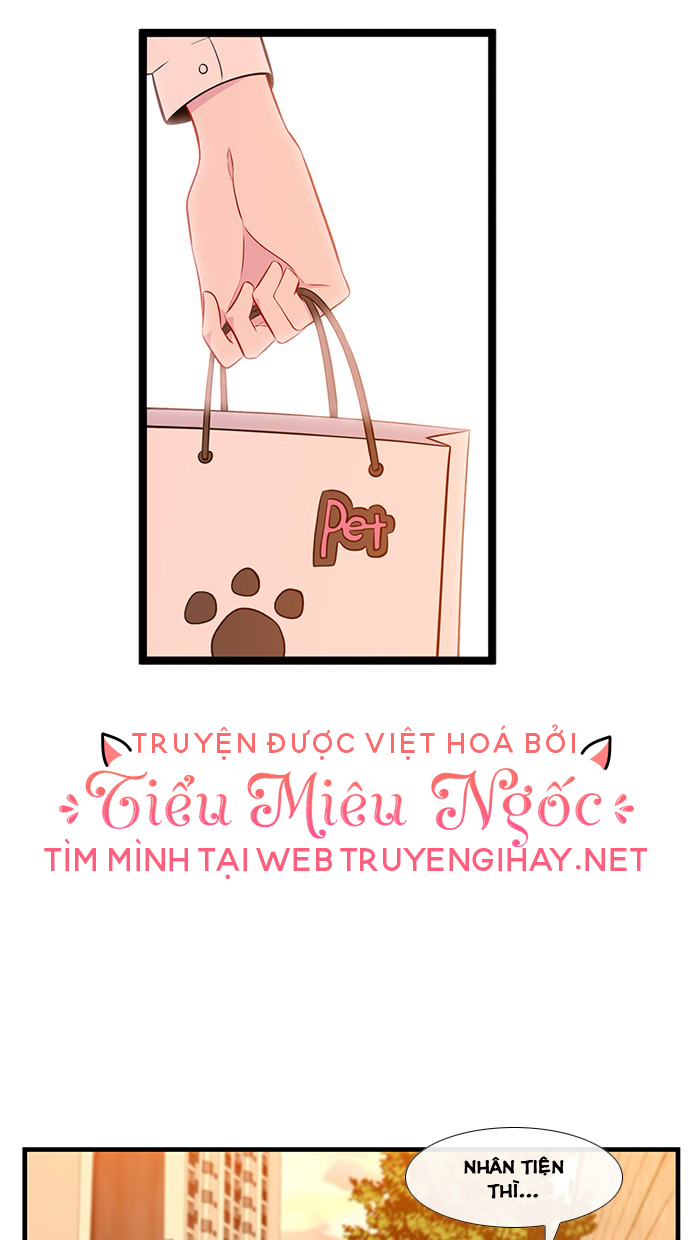 quay lại nhé chapter 13 3