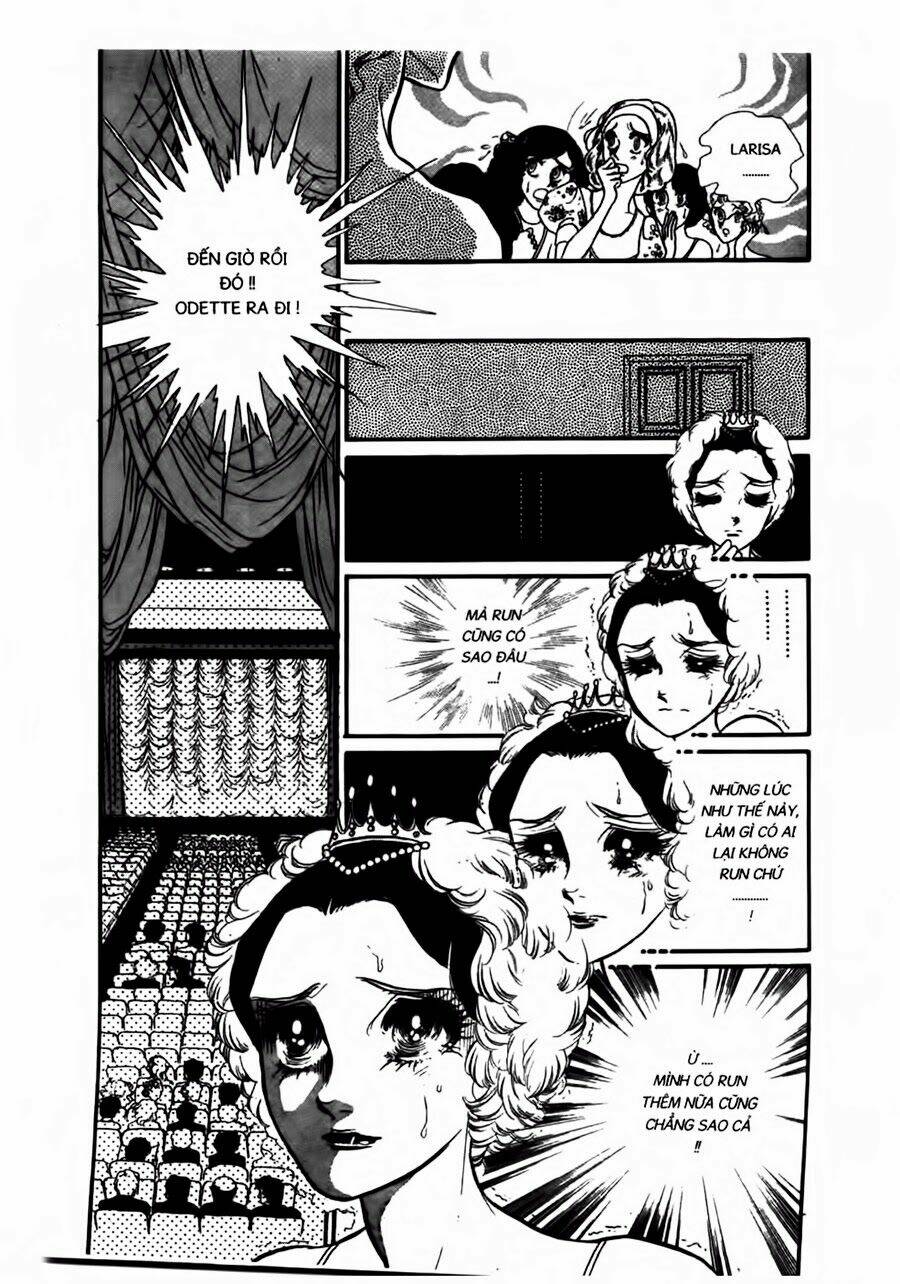 swan - vũ khúc thiên nga chapter 45 4