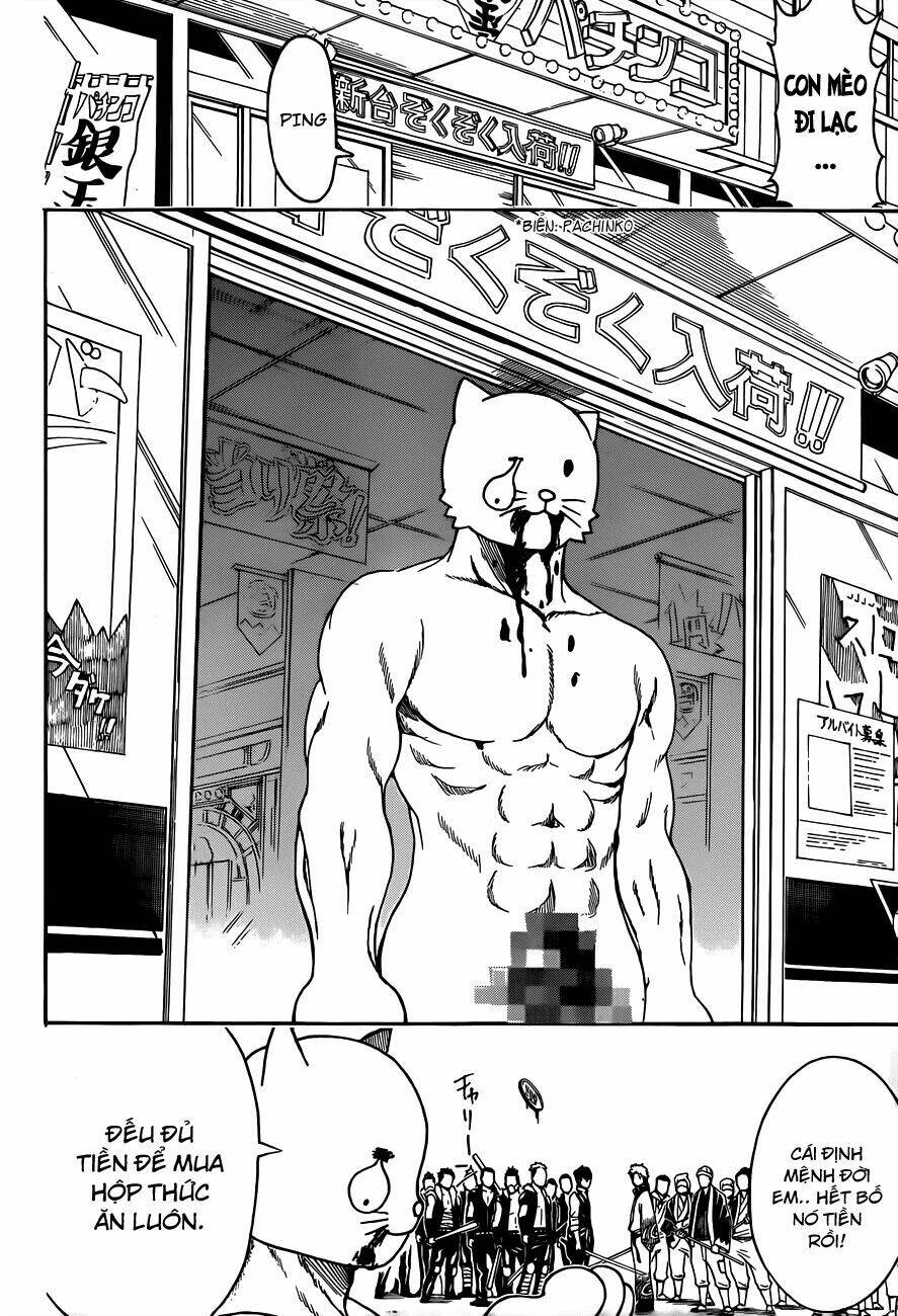 gintama - linh hồn bạc chapter 473 13