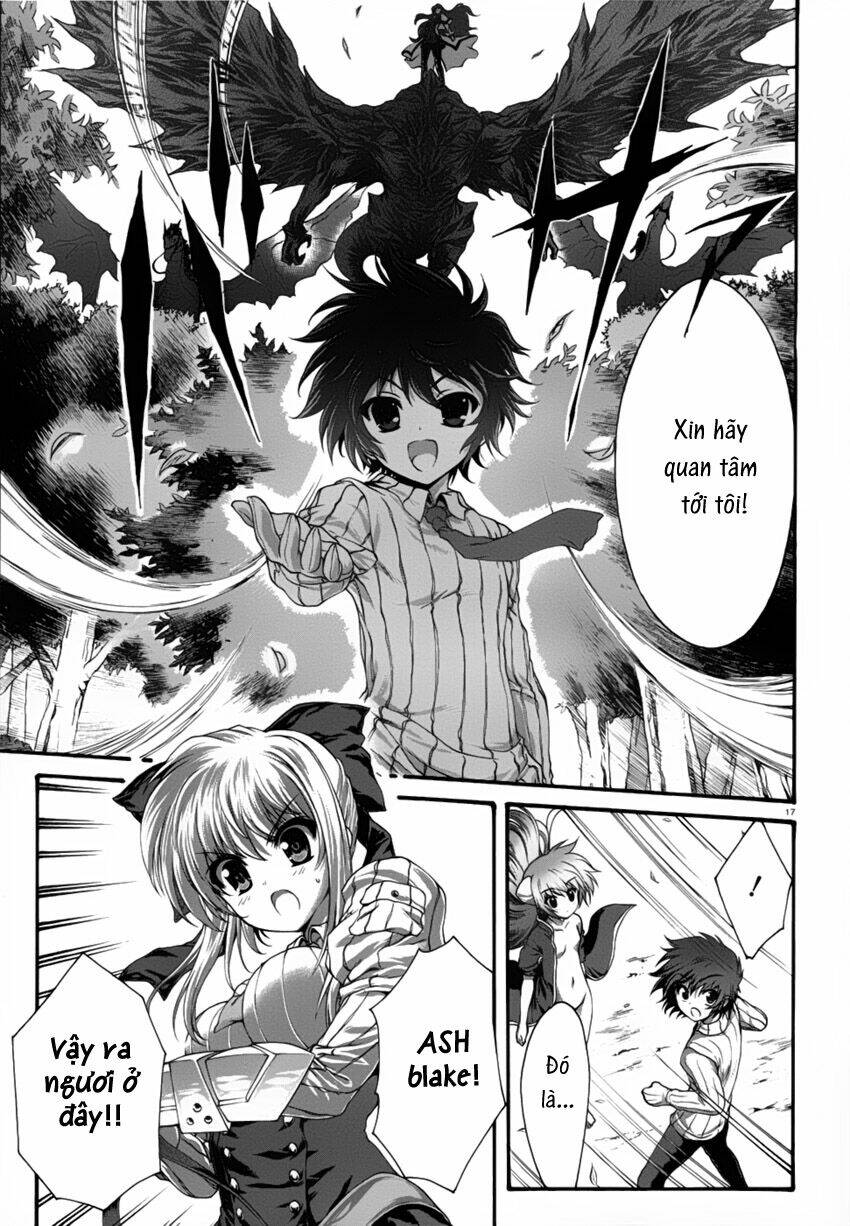 seikoku no dragonar chapter 2 19