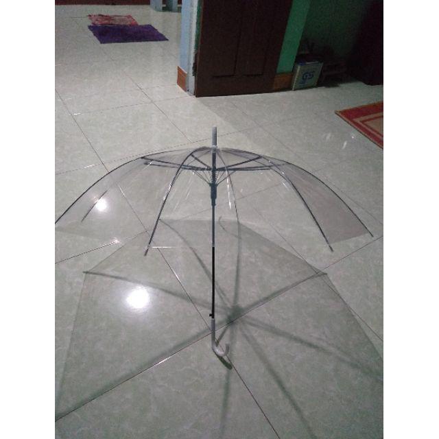 ️️ Dù trong suốt đi mưa chụp ảnh nghệ thuật sang chảnh