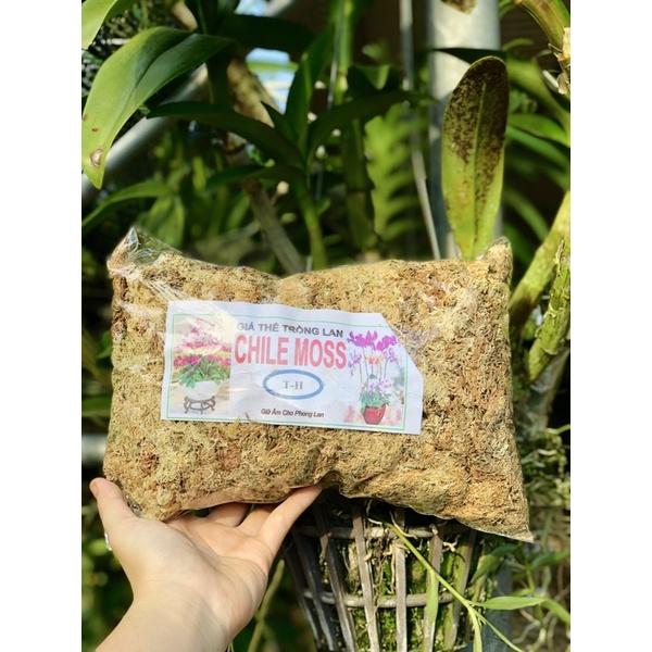 Dớn Chile trắng hàng xịn trắng giữ ẩm tốt gói 100gram