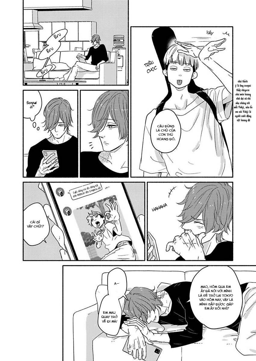 tia chớp tình yêu chapter 3 28