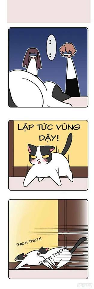 hello dư tuyết đặc chapter 2 10