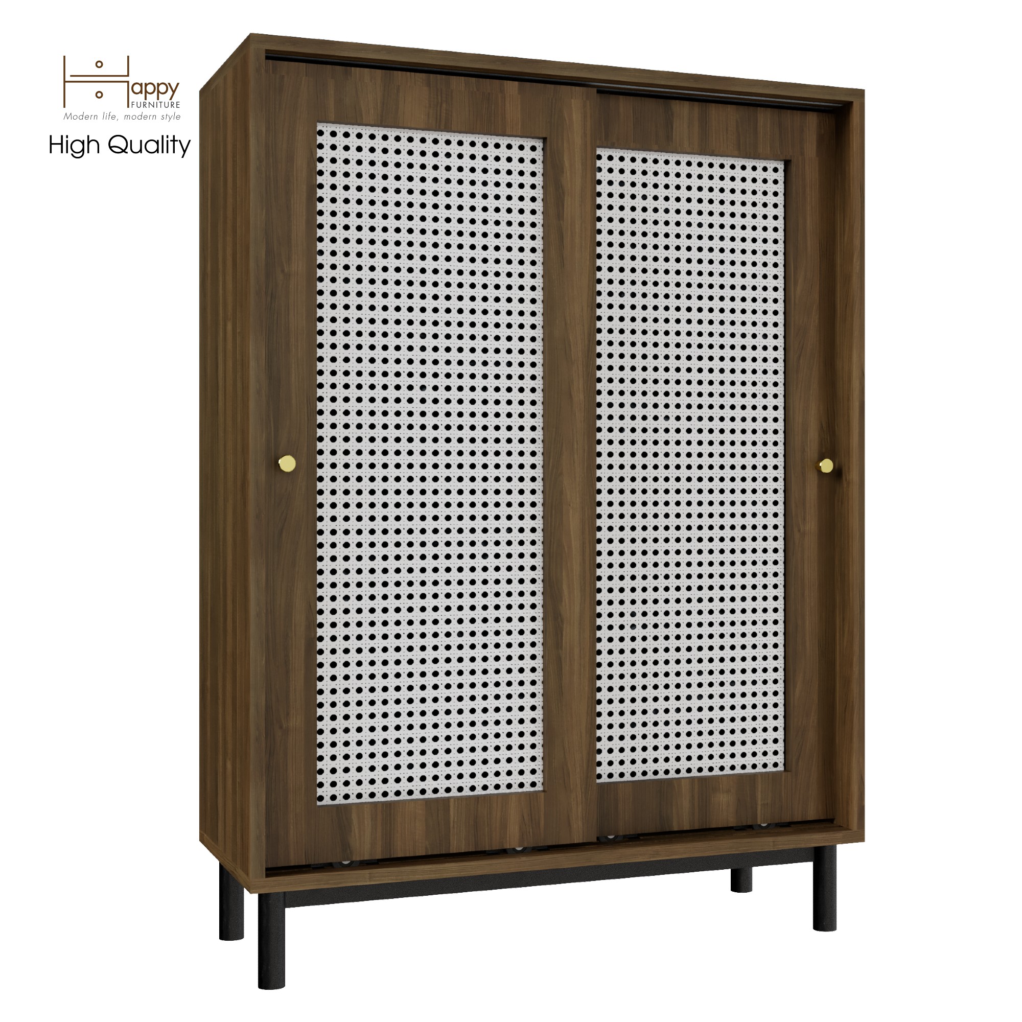 [Happy Home Furniture] ROTAN, Tủ đựng đồ 2 cánh lùa - chân sắt, 80cm x 34cm x 110cm ( DxRxC), TCL_030