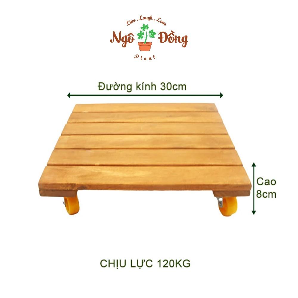 Bộ 2 Đế Lót Chậu Cây Cảnh Chậu Hoa Bằng Gỗ Tràm Hình Vuông R30cm Có Bánh Xe Tròn Chịu Lực Lên Đến 120kg