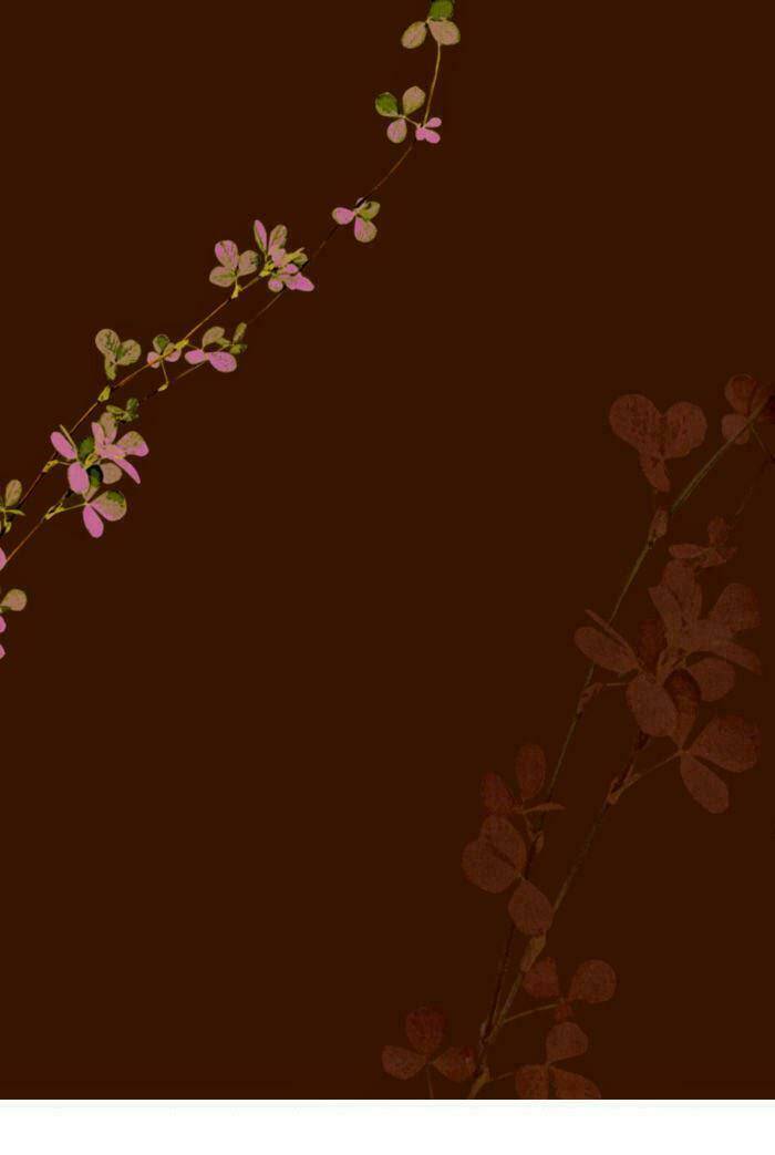 elektel delusion chapter 7.5 28