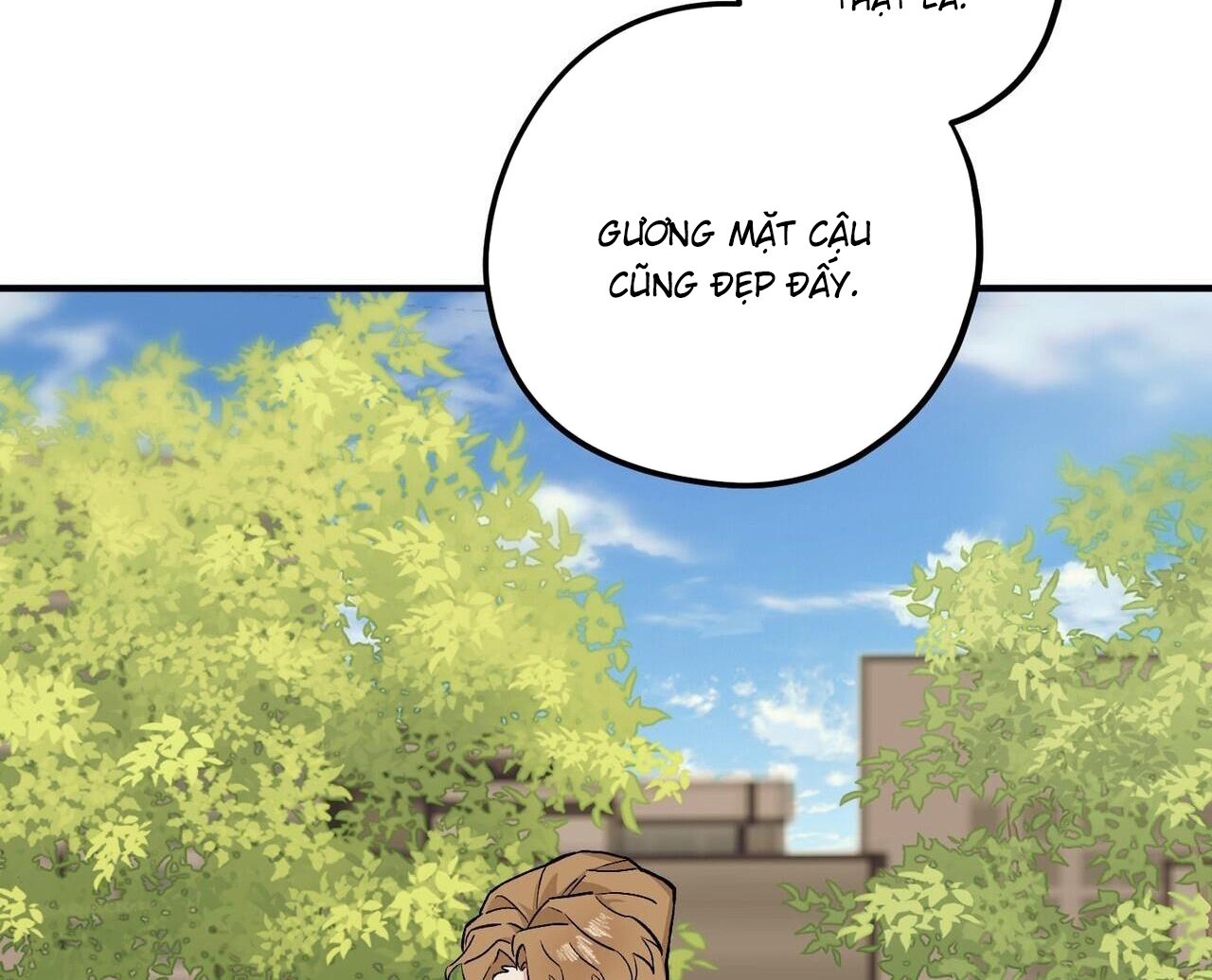 chàng dâu nhà họ kang chapter 48 79