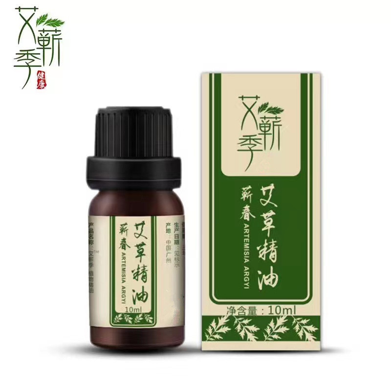 TINH DẦU NGẢI CỨU CHIẾT XUẤT TỪ NGẢI CỨU TỰ NHIÊN 10ml. Tinh dầu Gừng massge, xoa bóp