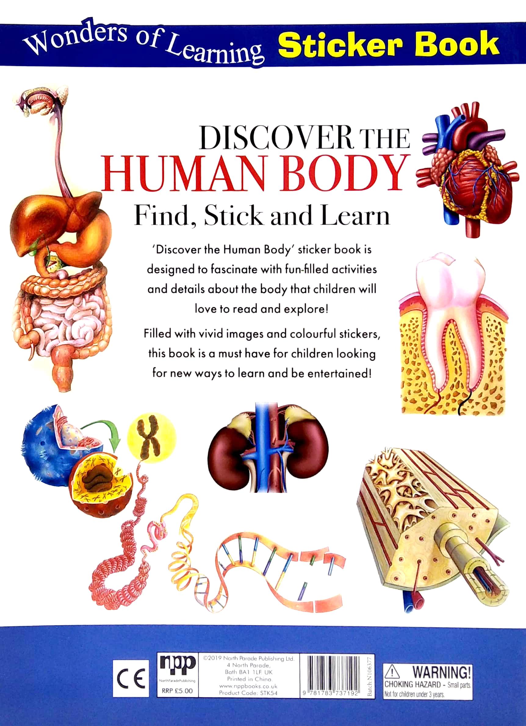 Wonders Of Learning - Sticker Book - Human Body