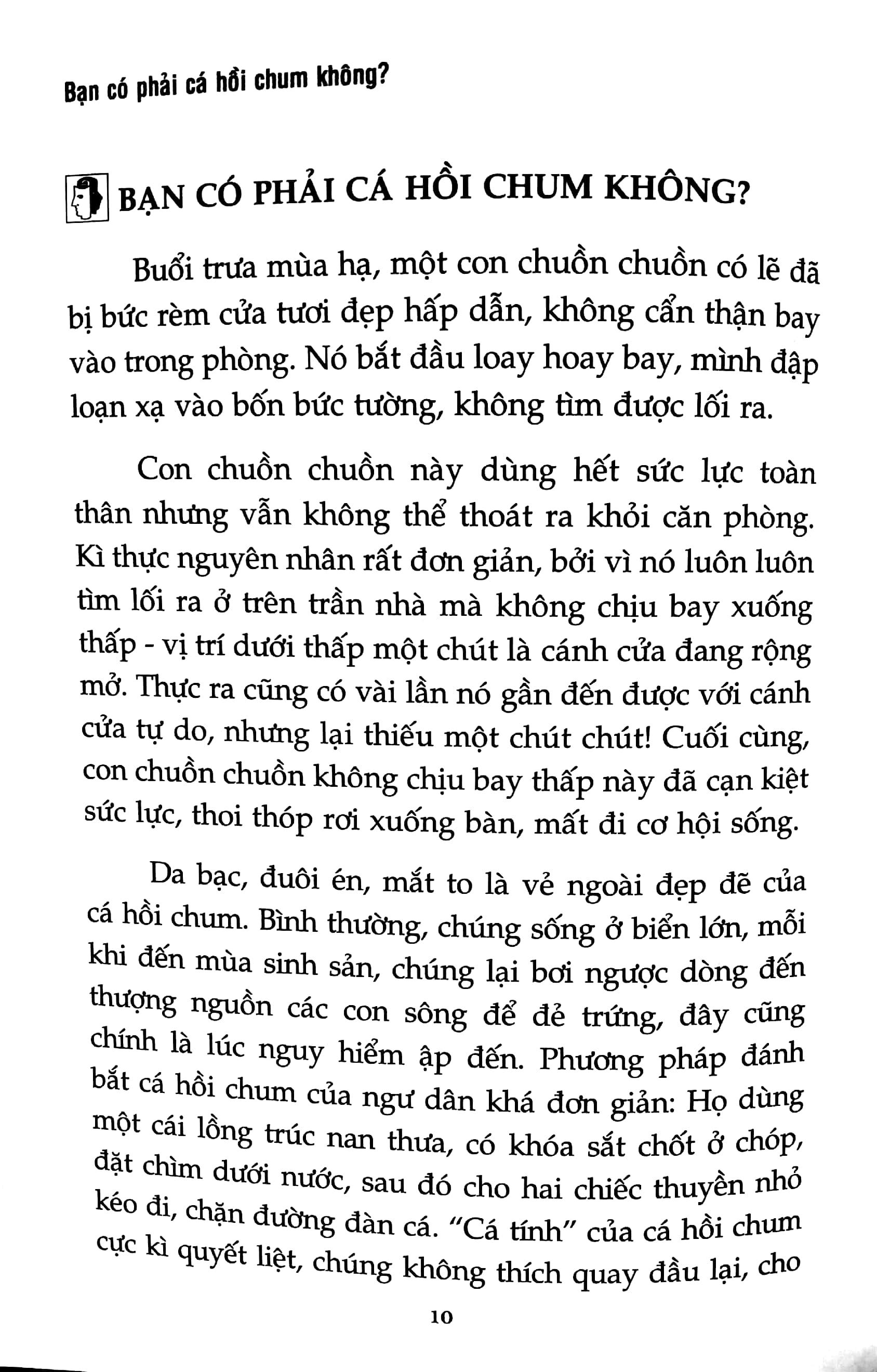 Bạn Có Phải Cá Hồi Chum Không?