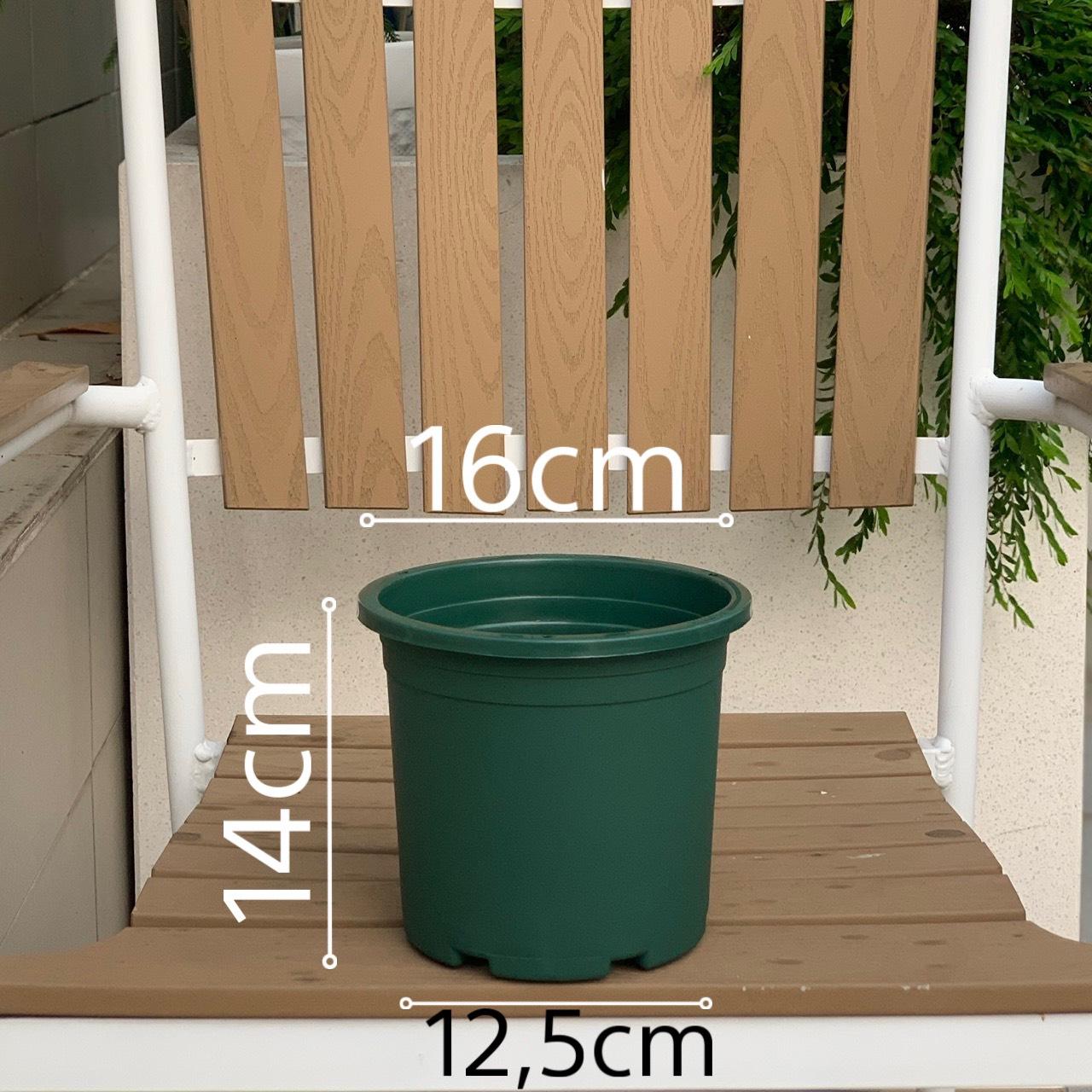 Chậu nhựa trồng cây VIETPOT, mã 25, màu Xanh Trơn, trồng cây hoa nhiều cỡ, trồng kiểng lá, hoa hồng, rau, trang trí ban công, sân vườn