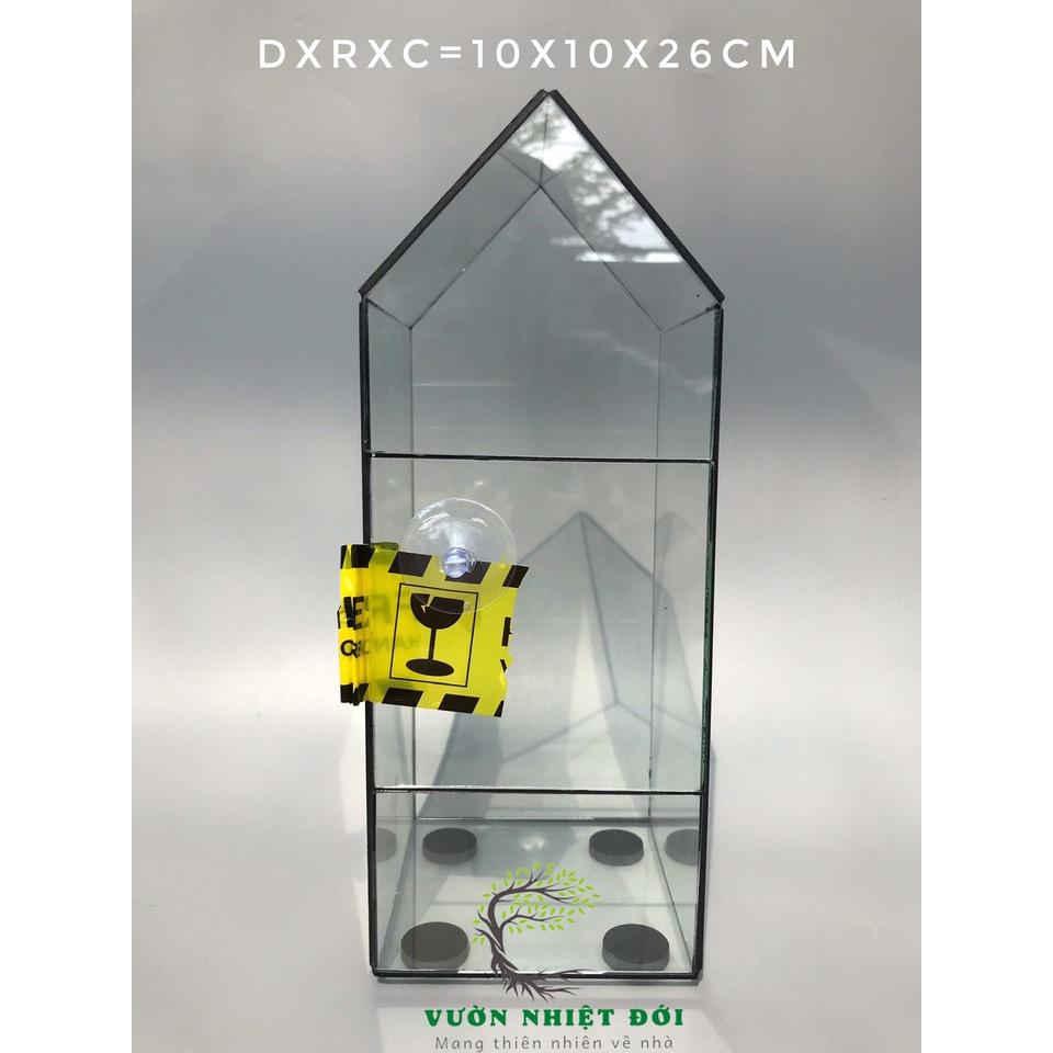 Bể Terrarium Đa Giác Setup Bán Cạn Để Bàn Làm Việc Mở Được Cánh Cửa