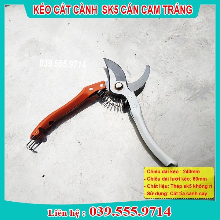 KÉO CẮT CÀNH KAPUSI SK5 NHẬT BẢN - KÉO SIÊU SẮC ĐẸP