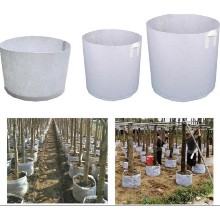 50 Túi Vải Trồng Cây 2 Quai Xách Kích Thước 20X20