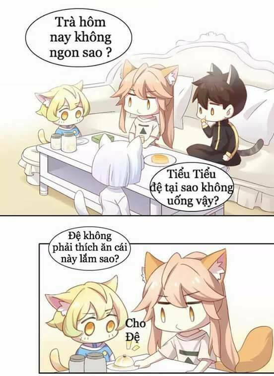 thị hoang chi thần chapter 10 28