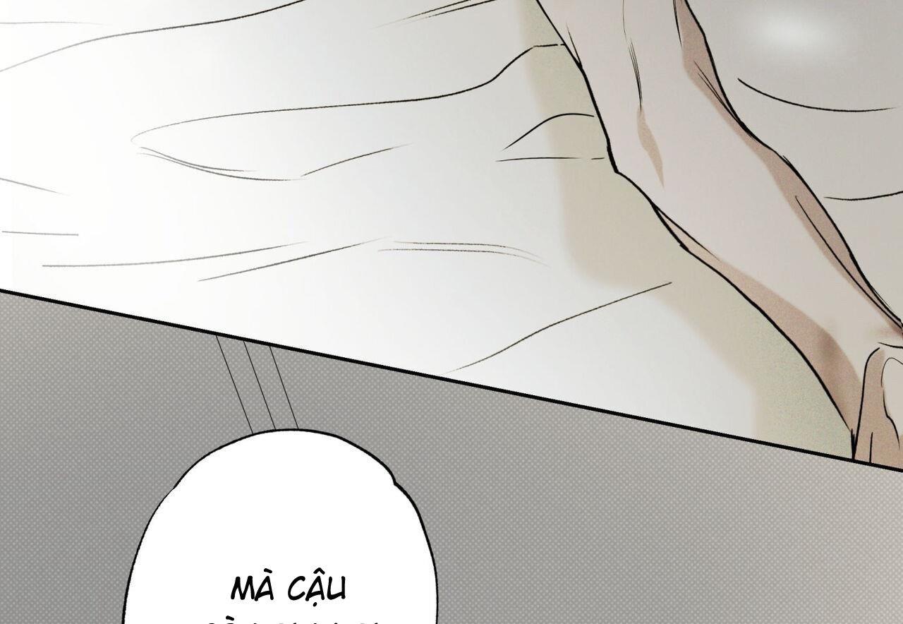 chàng giao pizza và gold palace chapter 48 8