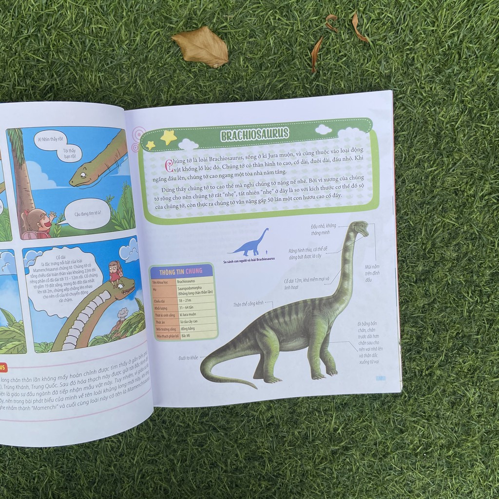 Sách- Bách Khoa Động Vật Dành Cho Trẻ Nhỏ - Khủng Long