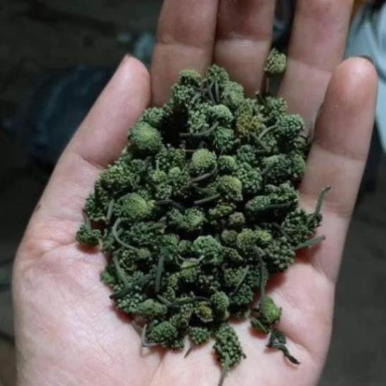 CHUẨN 1kg Hoa tam thất phơi tay sạch không chất bảo quản