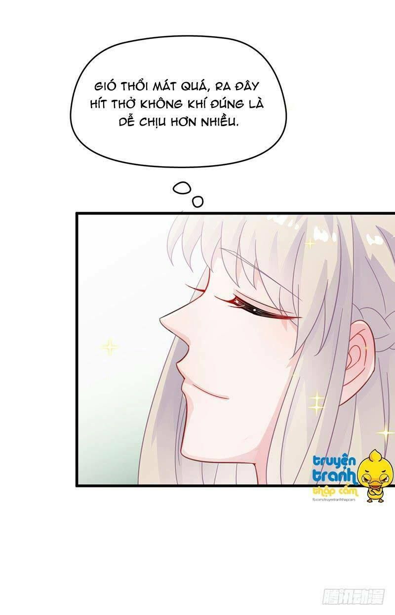 chọc tới chủ tịch tổng tài 2 chapter 21 24