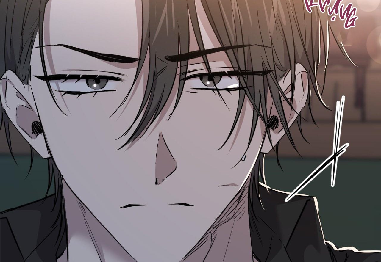 những chú thỏ của hapypy chapter 59 91