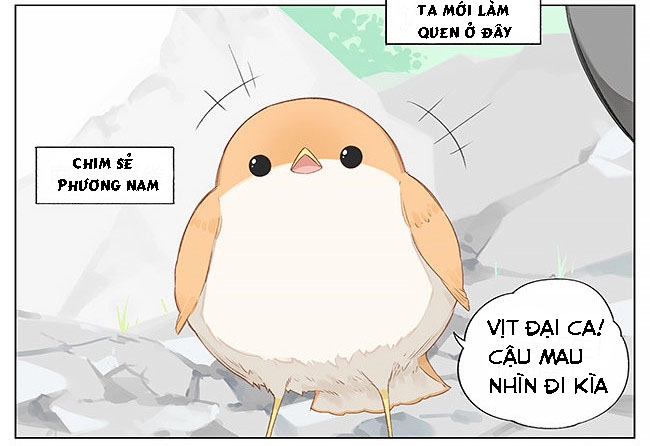 sẻ chiếu mới và nhạn phong sương chapter 8 2