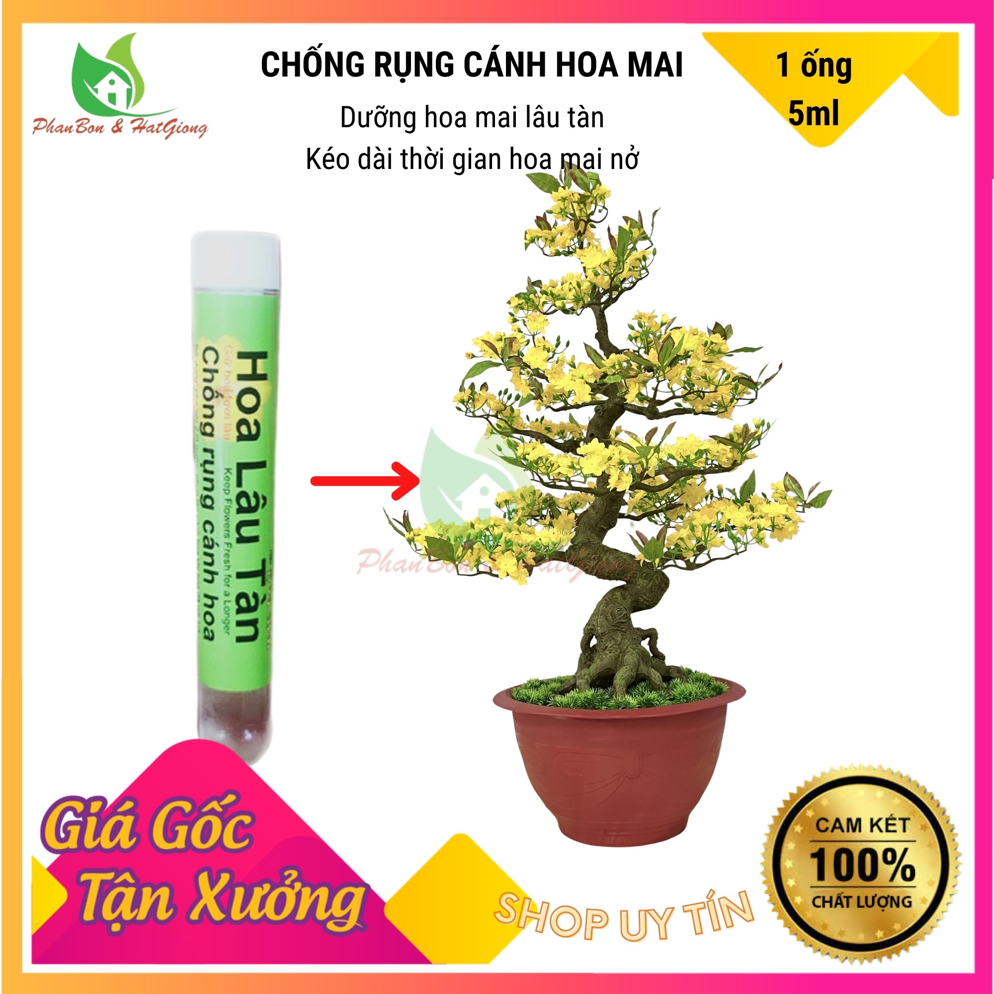 Chế Phẩm CHỐNG RỤNG CÁNH Hoa Mai, Dưỡng Hoa Mai Lâu Tàn, Kéo Dài Thời Gian Hoa Mai Nở 5Ml - Shop Phân Bón và Hạt Giống