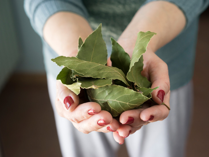 Lá Nguyệt Quế Khô Thương Hiệu Hava Foodies Gói 100g – Bay Leaves