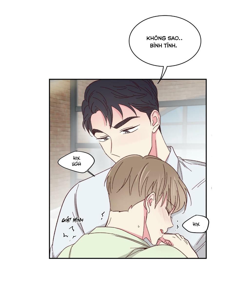 món tráng miệng của sếp tổng chapter 59 17