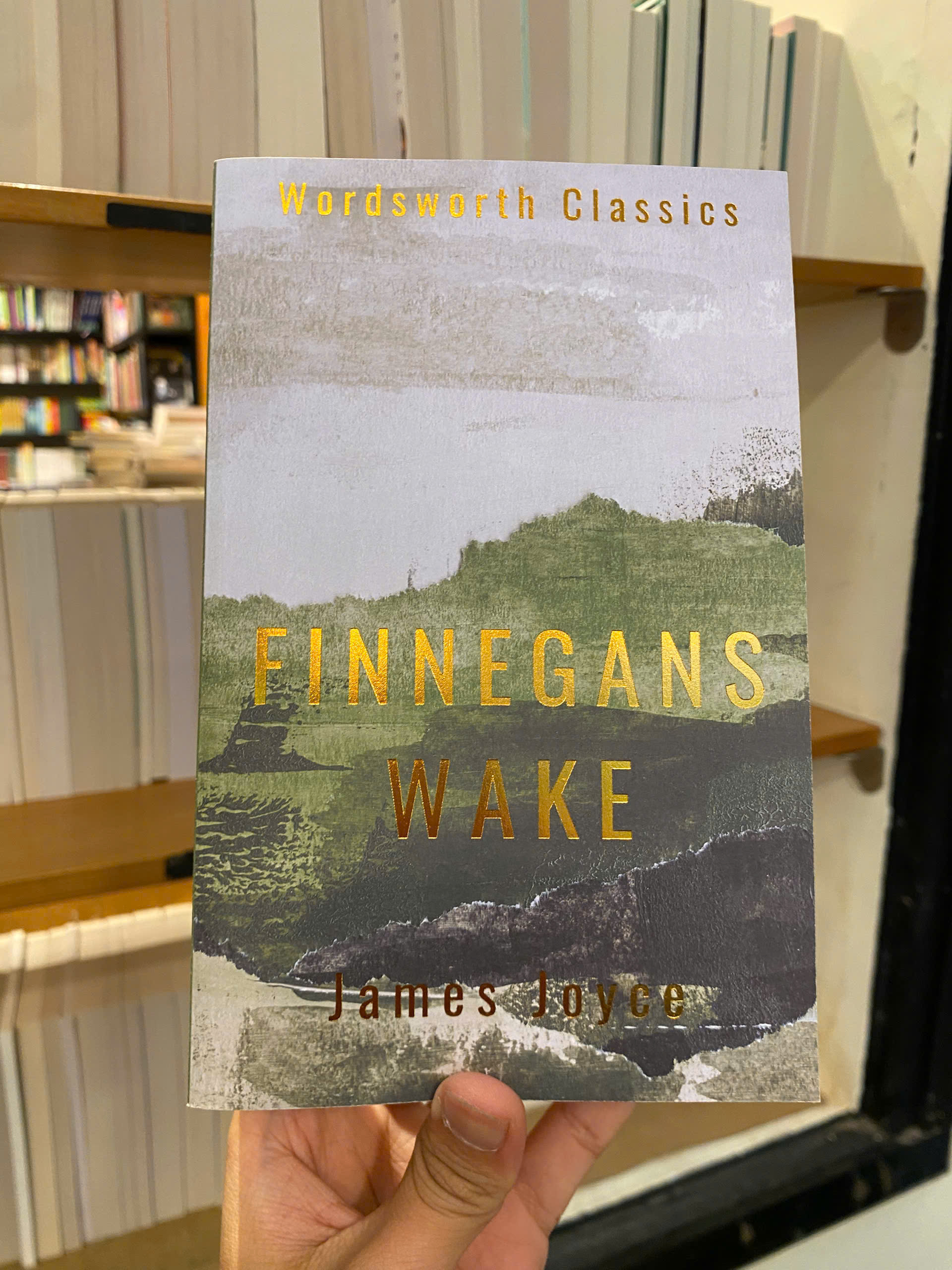 Sách - Finnegans Wake by James Joyce | Classic Literature / Ngoại văn Kinh điển Nhập khẩu