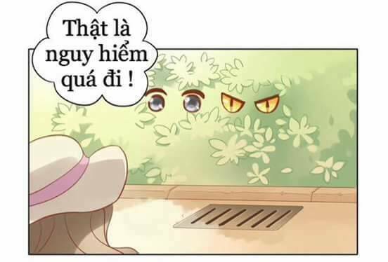 dưới móng vuốt mèo chapter 8 7