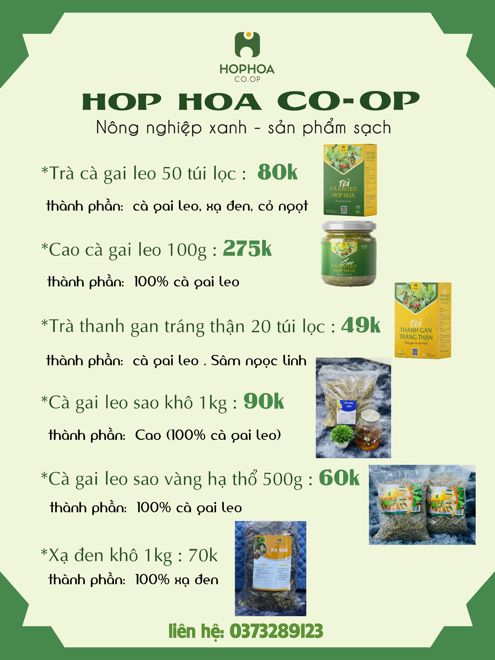 &quot;Mẫu Mới&quot; Trà Cà Gai Leo Hợp Hòa - Cà gai leo+Xạ đen+Cỏ Ngọt - 50 túi lọc - OCOP 4 Sao